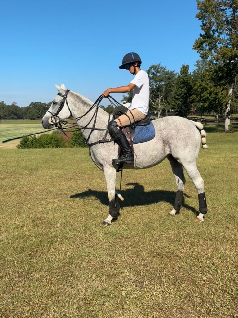 Chapita, 11-year-old polo pony mare for sale