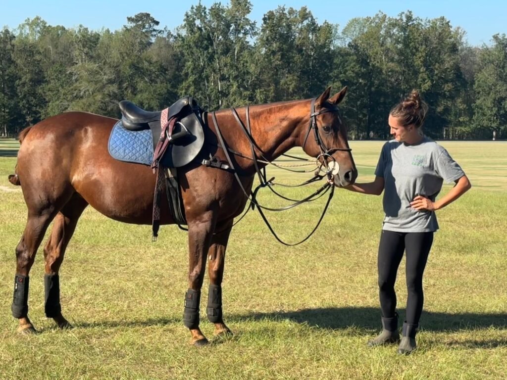 Visa, 10-year-old polo pony mare for sale